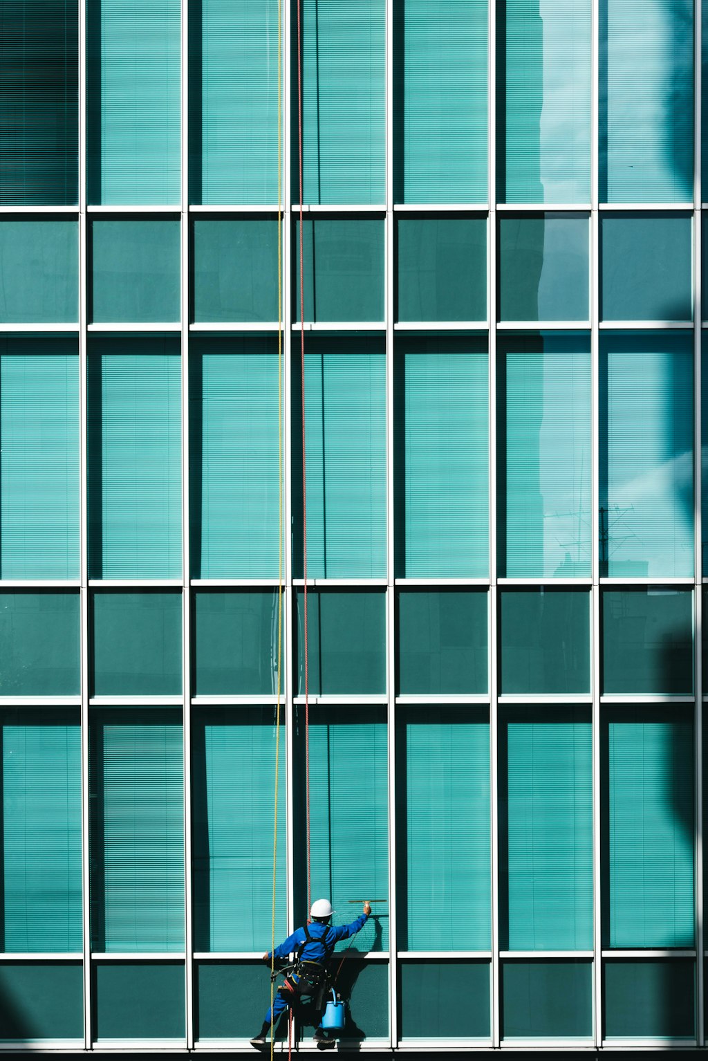 Professional window cleaner at work